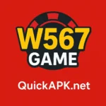 W567 GAME