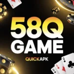 58Q